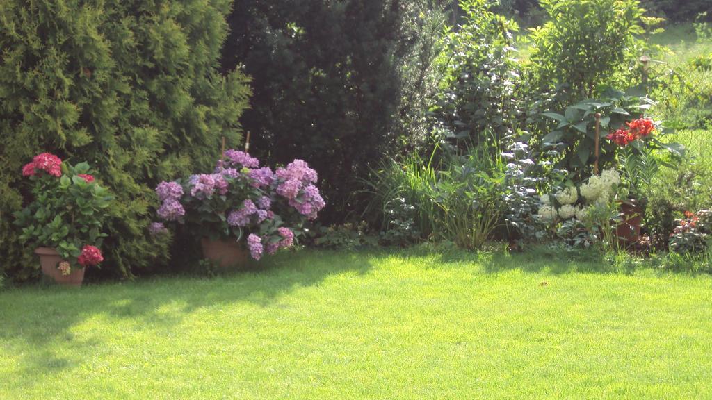 As Gosciniec Apartment Mikołajki Екстериор снимка